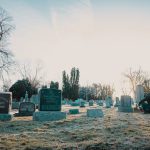 pexels-brett-sayles-3724814