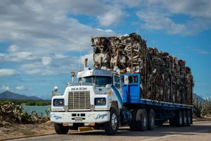 pexels-vika-glitter-392079-26492743